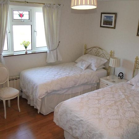 Bed and Breakfast Erw-Lon Farm Pontfaen Zimmer foto